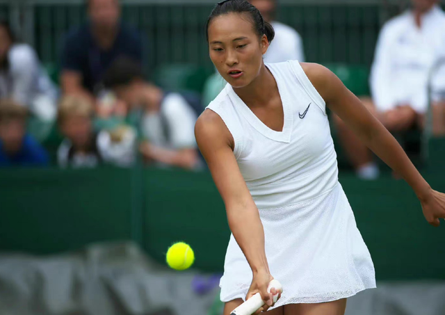  莱巴金娜温网次轮出局，种子选手遭遇滑铁卢